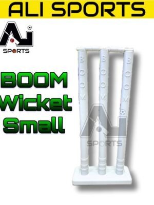 Small Boom Wickets (Plastic)