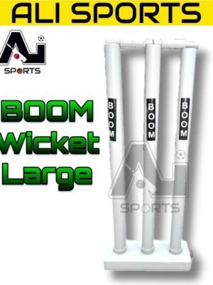 Large Boom Wickets (Plastic)